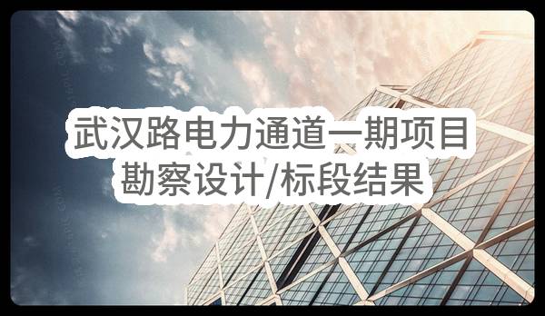 武汉路电力通道一期项目勘察设计/标段结果公布(成都天府新区投资集团有限公司)_成都政府采购网
