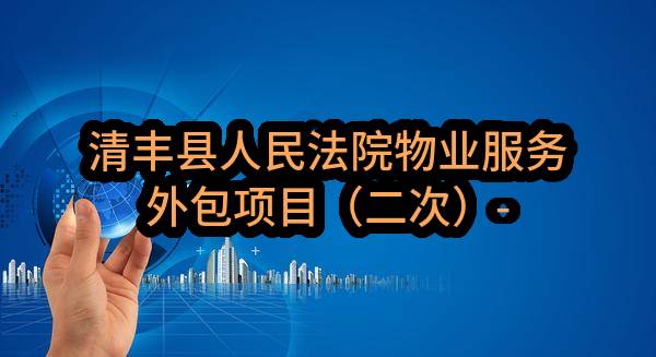 清丰县人民法院物业服务外包项目（二次）-中标公告(豫财招标采购-2022-1038)_郑州政府采购网