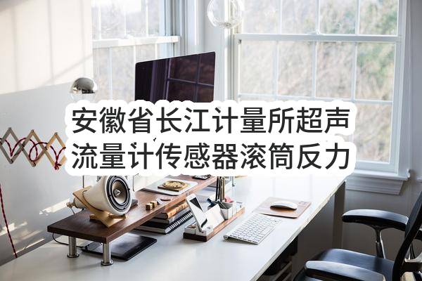 安徽省长江计量所超声流量计传感器滚筒反力式制动检验台检定装置等设备采购(2022BFAHZ00358)_合肥政府采购网