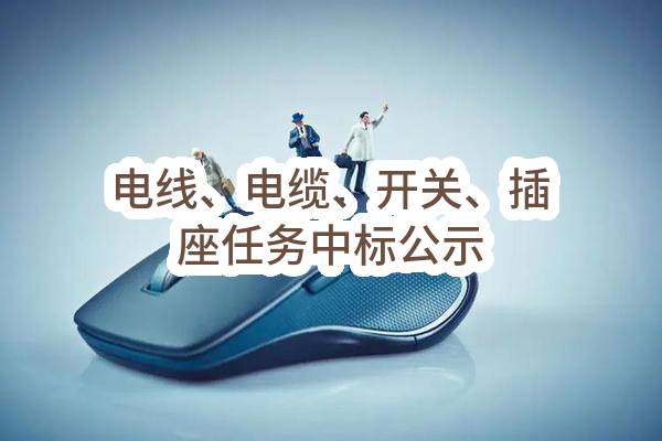 电线、电缆、开关、插座任务中标公示(HS-ZBRW-2023-005544)_成都政府采购网