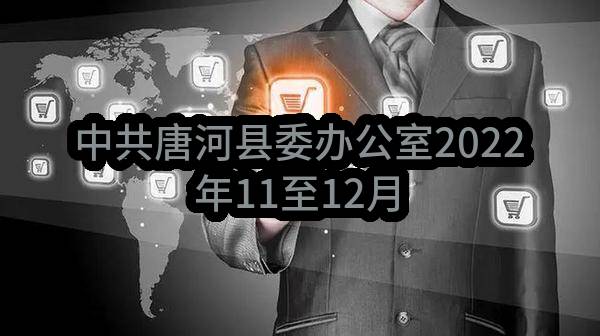 中共唐河县委办公室2022年11至12月政府采购意向_郑州政府采购网