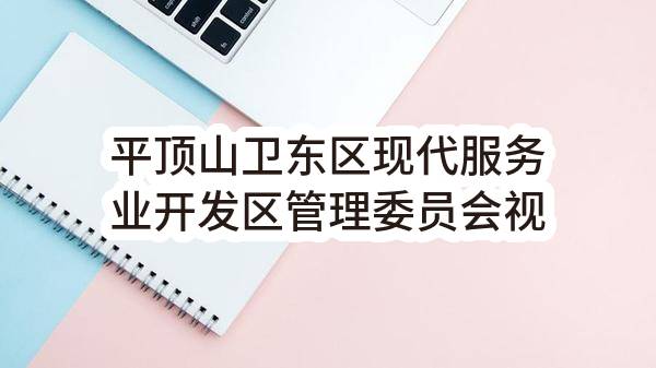 平顶山卫东区现代服务业开发区管理委员会视频监控(2022-11-20)_郑州政府采购网