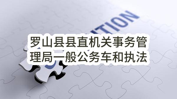 罗山县县直机关事务管理局一般公务车和执法执勤车 管理系统建设工程单一来源采购公告_郑州政府采购网
