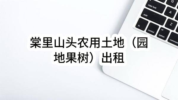 棠里山头农用土地（园地果树）出租(东莞市茶山镇横江棠里股份经济合作社)_东莞政府采购网