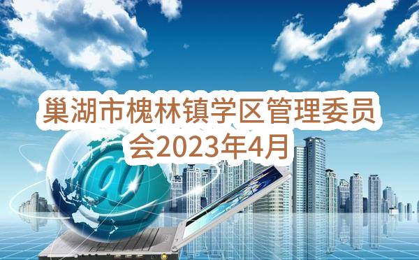 巢湖市槐林镇学区管理委员会2023年4月政府采购意向_合肥政府采购网