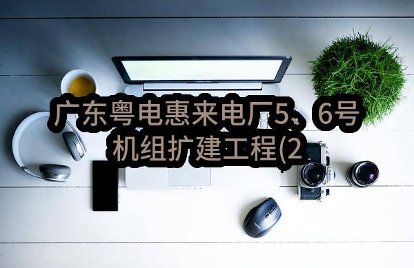 广东粤电惠来电厂5、6号机组扩建工程(2×1000MW)第二批辅机设备（第14包：低加疏水泵）采购