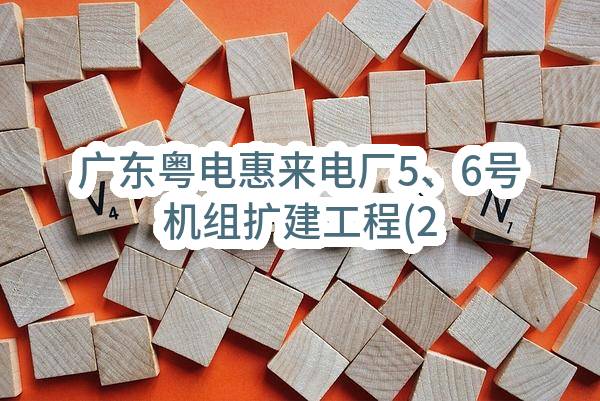 广东粤电惠来电厂5、6号机组扩建工程(2×1000MW)第二批辅机设备（第21包：循环水拦污栅清污机）采购