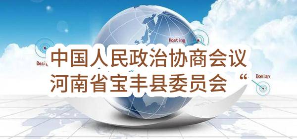 中国人民政治协商会议河南省宝丰县委员会“智慧政协”平台建设项目-验收报告公示