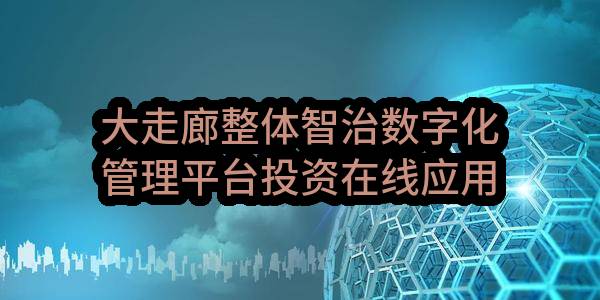 大走廊整体智治数字化管理平台投资在线应用场景