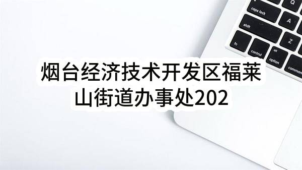 烟台经济技术开发区福莱山街道办事处2022年11月(至)12月政府采购意向