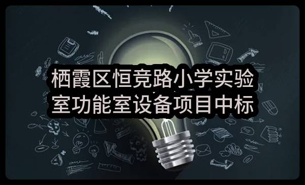 栖霞区恒竞路小学实验室功能室设备项目中标公告