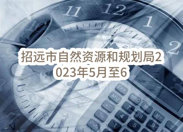 招远市自然资源和规划局2023年5月至6月政府采购意向