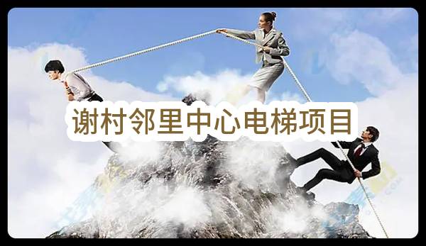 谢村邻里中心电梯项目