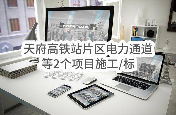 天府高铁站片区电力通道等2个项目施工/标段