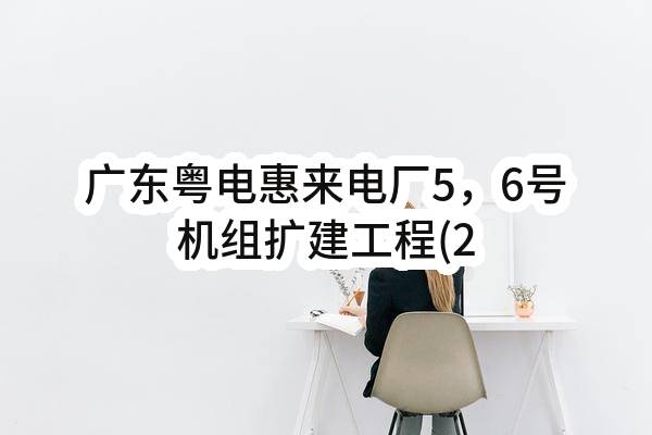广东粤电惠来电厂5，6号机组扩建工程(2×1000MW)第二批辅机设备（第24包：加氨及汽水取样系统）采购