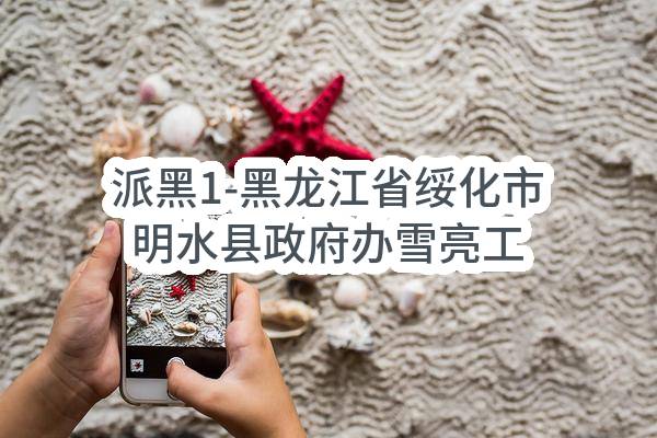 派黑1-黑龙江省绥化市明水县政府办雪亮工程一期项目（监控设备）公告