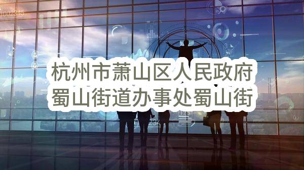 杭州市萧山区人民政府蜀山街道办事处蜀山街道湖山春晓智慧安防小区建设项目
