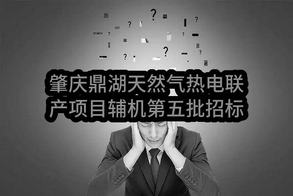 肇庆鼎湖天然气热电联产项目辅机第五批招标（第9包：渉网二次系统设备采购及调试服务）