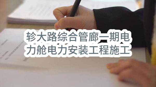 烟台市政府投资工程建设服务中心轸大路综合管廊一期电力舱电力安装工程施工
