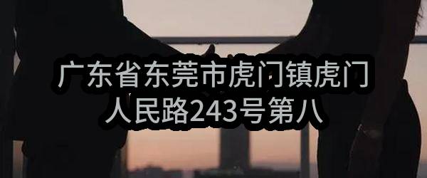 广东省东莞市虎门镇虎门人民路243号第八层，九层出租