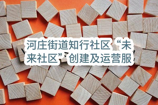 河庄街道知行社区“未来社区”创建及运营服务项目