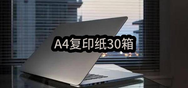 平顶山市湛河区人民政府北渡街道办事处A4复印纸30箱