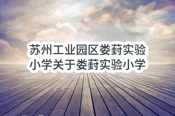 苏州工业园区娄葑实验小学关于娄葑实验小学2023年物业管理服务的招标公告(YQJC2022-Y-G-058-001)-采购合同