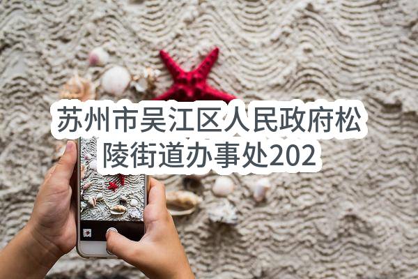 苏州市吴江区人民政府松陵街道办事处2023年度政府采购意向公告（第14批）