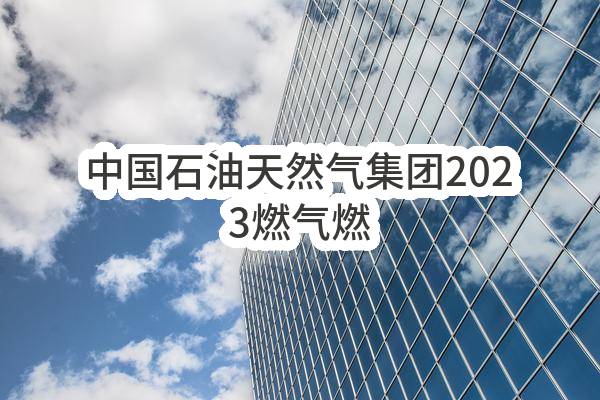 中国石油天然气集团有限公司2023燃气燃烧器集中采购项目（供应商准入+定商定价）