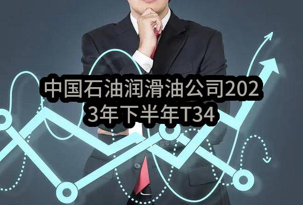 中国石油润滑油公司2023年下半年T3494等9种添加剂集中采购项目