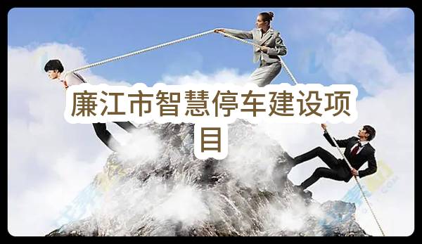 廉江市住房和城乡建设局廉江市智慧停车建设项目