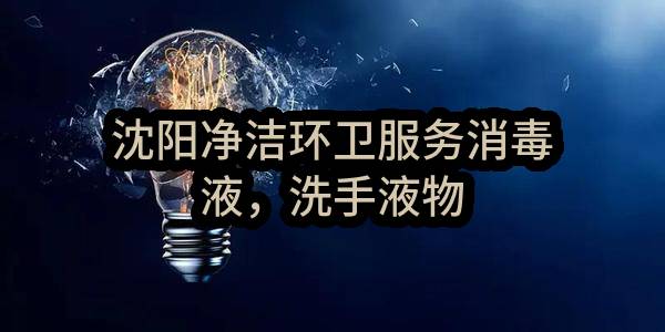 沈阳净洁环卫服务有限公司消毒液，洗手液物资采购结果公示