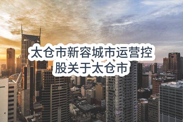 太仓市新容城市运营控股有限公司关于太仓市城市运行管理服务平台建设项目的中标结果公告