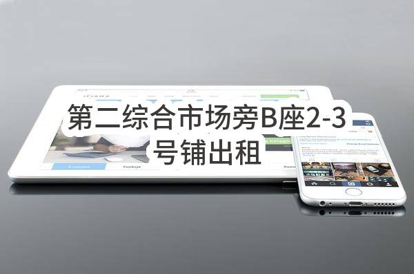 东莞市高埗镇高埗西联股份经济合作社第二综合市场旁B座2-3号铺出租