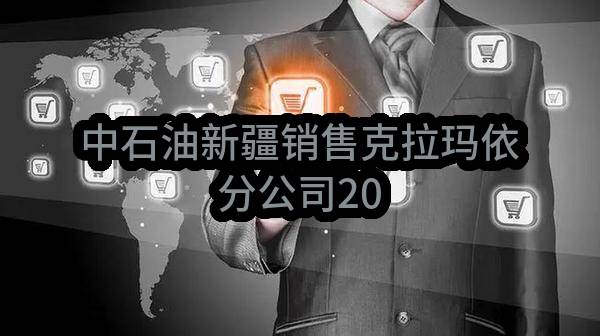 中石油新疆销售有限公司克拉玛依分公司2022-2024年（两年）保安服务项目
