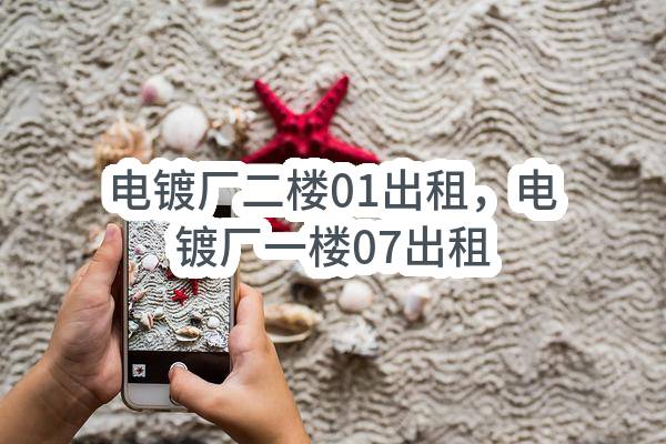 东莞市莞城街道博厦股份经济联合社电镀厂二楼01出租，电镀厂一楼07出租