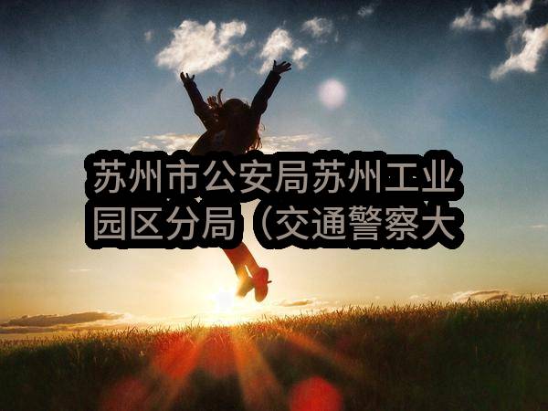 苏州市公安局苏州工业园区分局（交通警察大队）关于苏州工业园区智能交通管理系统2023-2024年度维护的招标公告(SZHQ2023-Y-G-004-001)-招标公告