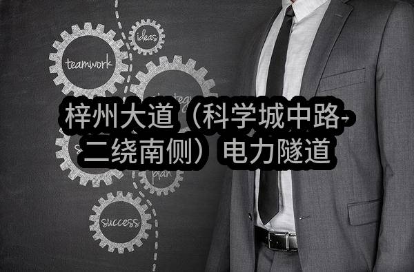 梓州大道（科学城中路-二绕南侧）电力隧道勘察设计/标段结果公布