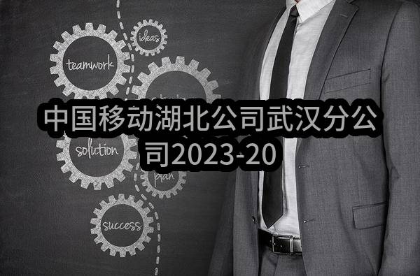 中国移动湖北公司武汉分公司2023-2024年网络监控大屏采购项目_比选公告