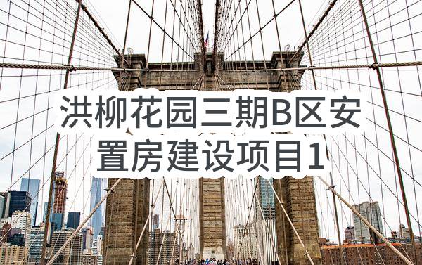 洪柳花园三期B区安置房建设项目1#地块电梯工程采购及安装采购/标段中标结果公示