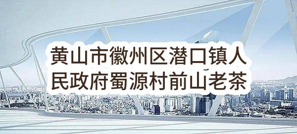 黄山市徽州区潜口镇人民政府蜀源村前山老茶厂监控安防设备采购项目_候选人公示