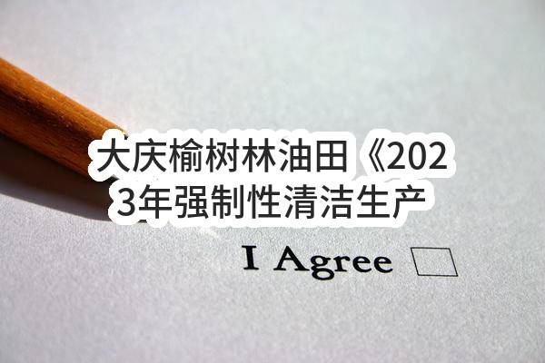 大庆榆树林油田《2023年强制性清洁生产审核》服务