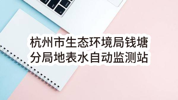 杭州市生态环境局钱塘分局地表水自动监测站运维项目