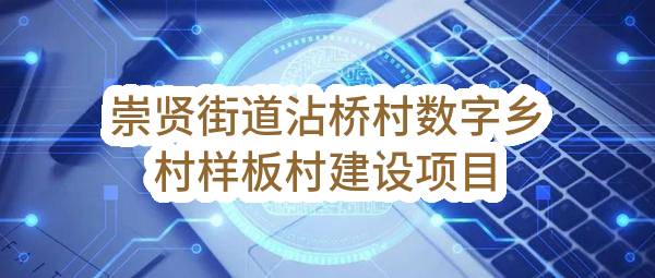 杭州市临平区人民政府崇贤街道办事处崇贤街道沾桥村数字乡村样板村建设项目
