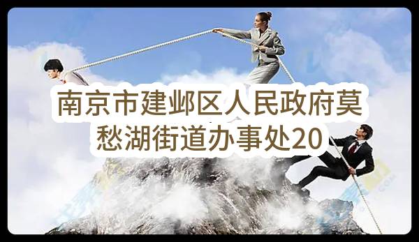 南京市建邺区人民政府莫愁湖街道办事处2023年8月(第2批)政府采购意向公告