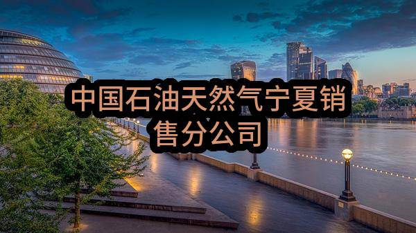 中国石油天然气股份有限公司宁夏销售分公司高速公路服务区2023年物业服务项目