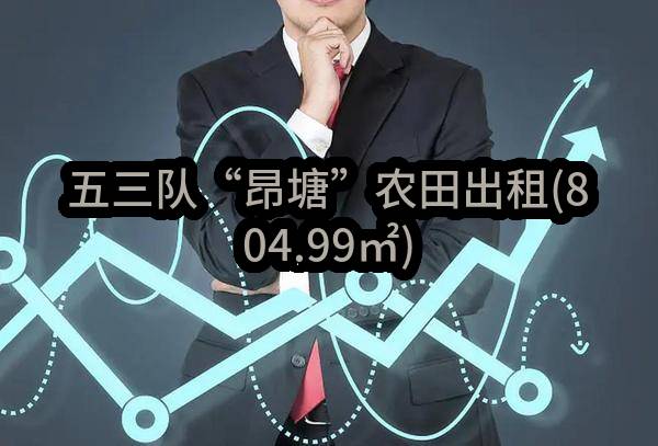 东莞市横沥镇田坑五三股份经济合作社五三队“昂塘”农田出租(804.99㎡)