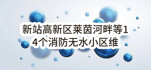 新站高新区莱茵河畔等14个消防无水小区维修改造工程