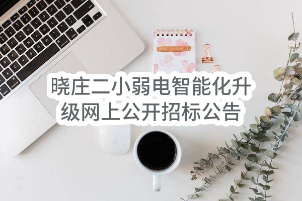 南京市栖霞区教育局晓庄二小弱电智能化升级网上公开招标公告