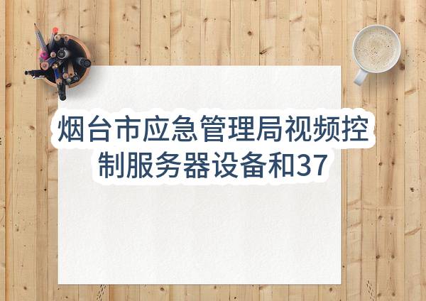 烟台市应急管理局视频控制服务器设备和370窄带无线通讯网络建设服务项目合同